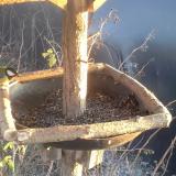 photo 2019-12-27 15-11-11