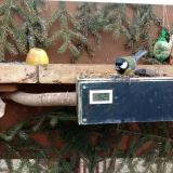 photo 2021-02-01 13-16-45