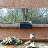 photo 2023-10-26 14-25-49