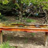 photo 2021-04-25 11-32-27