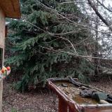 photo 2021-12-16 14-15-07