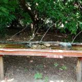 photo 2021-07-26 13-33-20