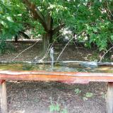 photo 2021-08-08 16-09-23