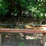 photo 2021-07-08 10-59-31