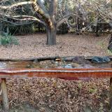 photo 2021-10-26 08-12-44