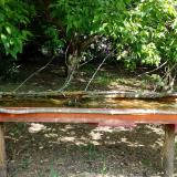 photo 2021-05-12 11-10-53