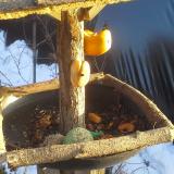 photo 2019-01-29 15-41-55