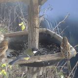 photo 2019-12-26 12-33-56