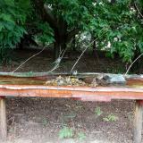 photo 2021-07-22 12-51-26