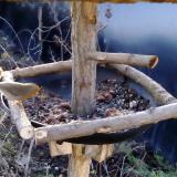 photo 2019-01-02 08-34-35