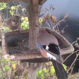 photo 2019-12-12 12-58-22