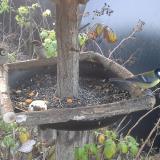 photo 2019-12-09 07-46-40