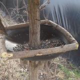 photo 2019-03-03 10-42-11