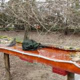 photo 2021-03-18 13-09-19