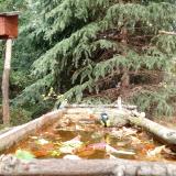 photo 2023-10-20 13-30-44