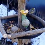 photo 2019-01-14 12-47-22