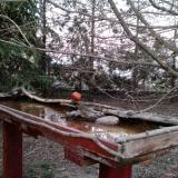 photo 2022-03-24 18-04-29