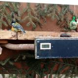 photo 2021-02-03 14-00-37