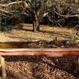 photo 2021-10-26 09-40-15