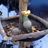 photo 2019-01-14 11-35-46