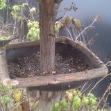 photo 2019-12-07 13-58-20