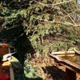 photo 2021-11-12 13-21-18