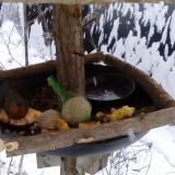 photo 2019-01-22 09-49-57