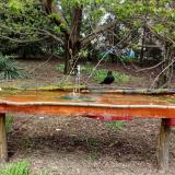 photo 2021-04-19 12-58-31