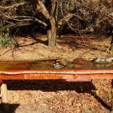 photo 2021-10-27 11-08-51