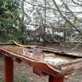 photo 2022-03-31 08-42-20