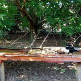 photo 2021-09-05 16-01-47