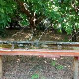 photo 2021-07-08 13-25-01