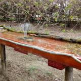 photo 2021-04-03 12-24-36