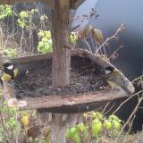 photo 2019-12-12 10-15-44