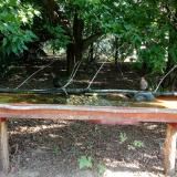 photo 2021-07-24 08-32-59