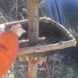 photo 2019-02-27 11-02-51