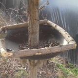 photo 2019-03-13 08-09-53