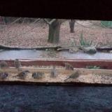 photo 2021-12-09 07-39-27