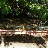 photo 2021-10-02 11-46-53