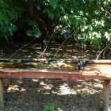 photo 2021-07-08 11-04-42