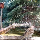 photo 2023-10-12 10-12-30