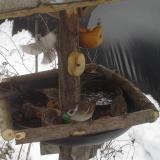 photo 2019-01-28 09-43-09