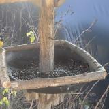 photo 2019-12-26 11-37-36