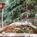 photo 2023-10-09 11-45-52