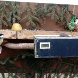 photo 2021-02-07 13-36-35