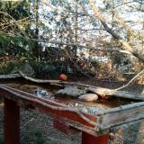 photo 2022-03-27 17-45-20