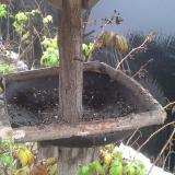 photo 2019-12-02 09-47-19