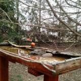 photo 2022-03-17 10-54-03