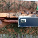 photo 2021-03-02 16-45-53