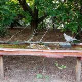 photo 2021-07-20 19-07-24